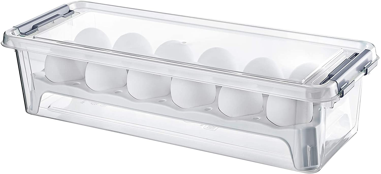 اشترِ Hobby Life Grand 12 Pcs Egg Storage Box  Litres (transparent), Egg  Tray Refrigerator Storage Container, Plastic Container Case With Locking  Lids, Fresh Storage Boxes Organizer عبر الإنترنت في الإمارات العربية