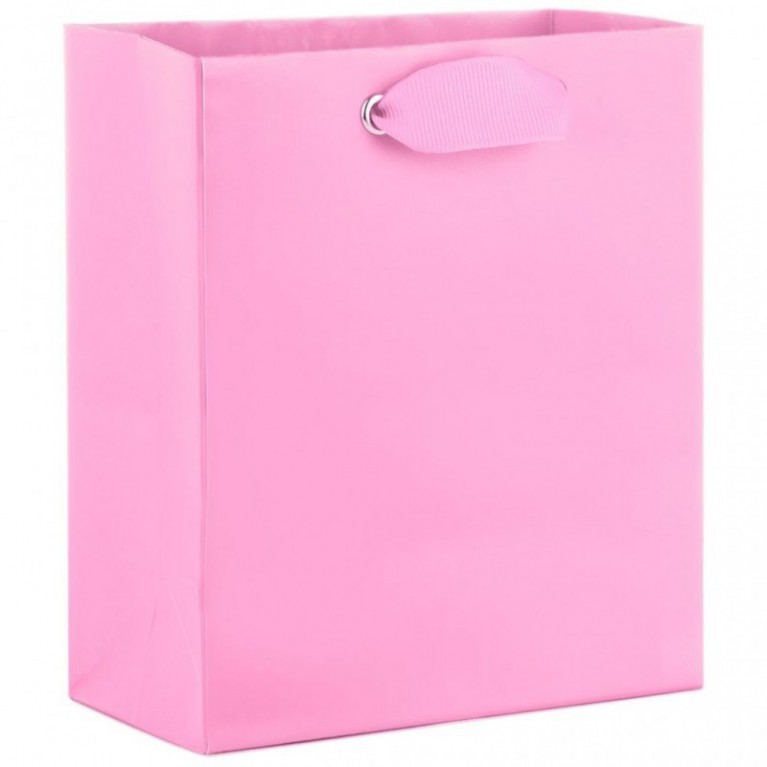 Hallmark Small Hot Pink Gift Bag